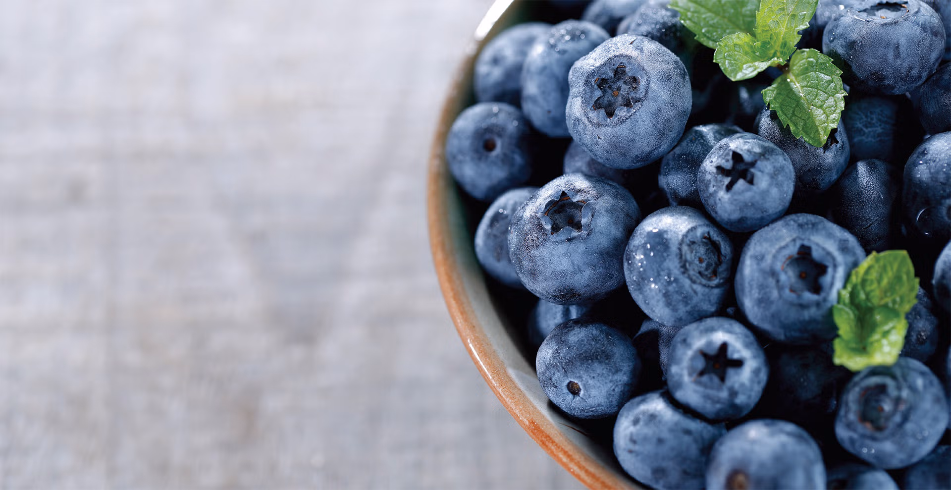 heidelbeeren 1