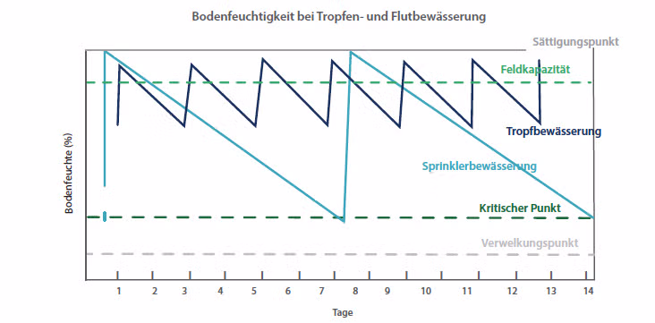 diagram bodenfeuchte